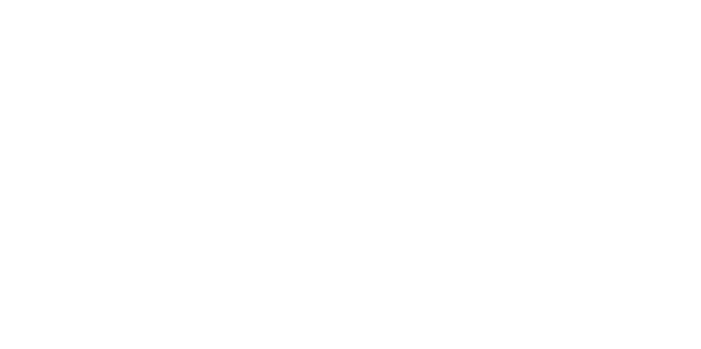 Irene Welfare Association
